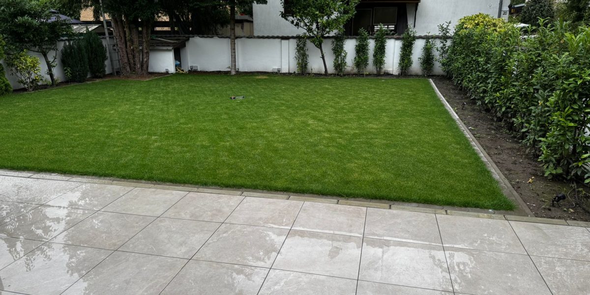 WhatsApp Image 2025-10-21 at 20.31.35_91e11d1b